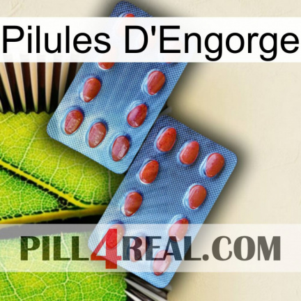Engorge Pills 05